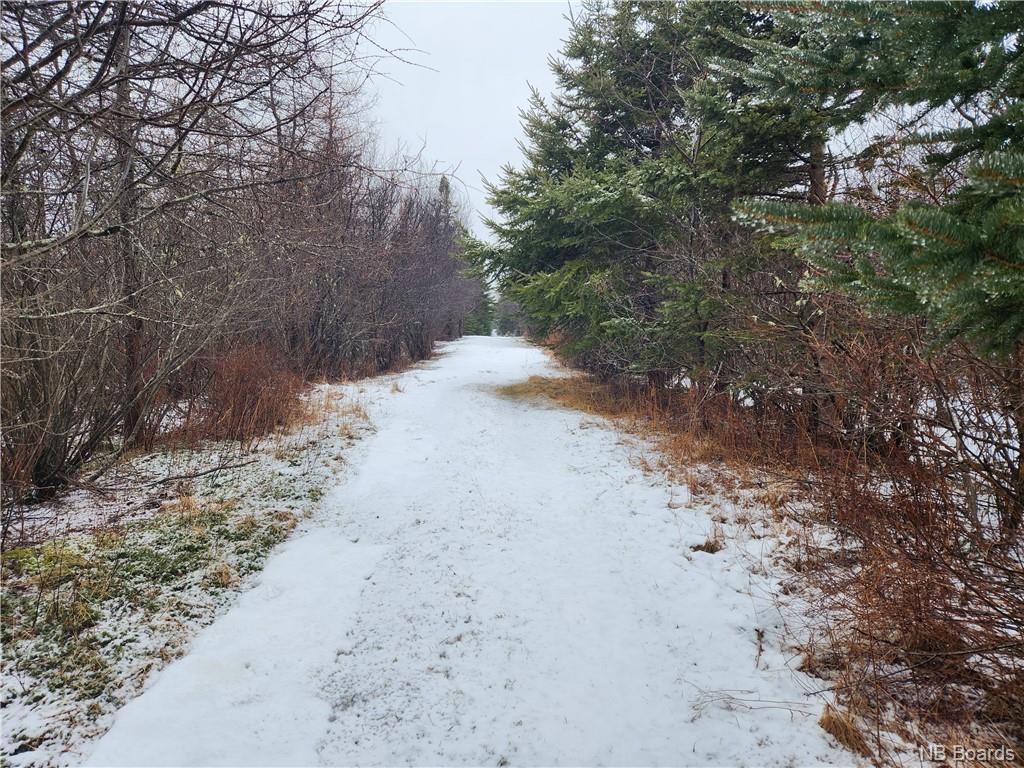 - New Line Road, West Quaco, New Brunswick, Canada