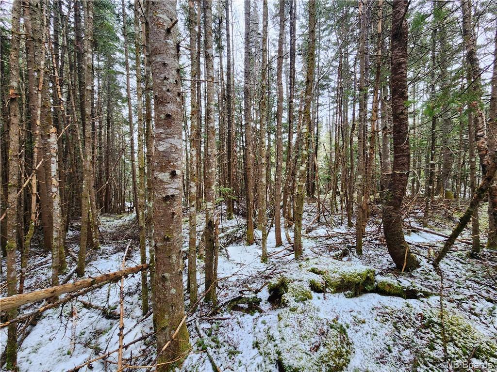 - New Line Road, West Quaco, New Brunswick, Canada