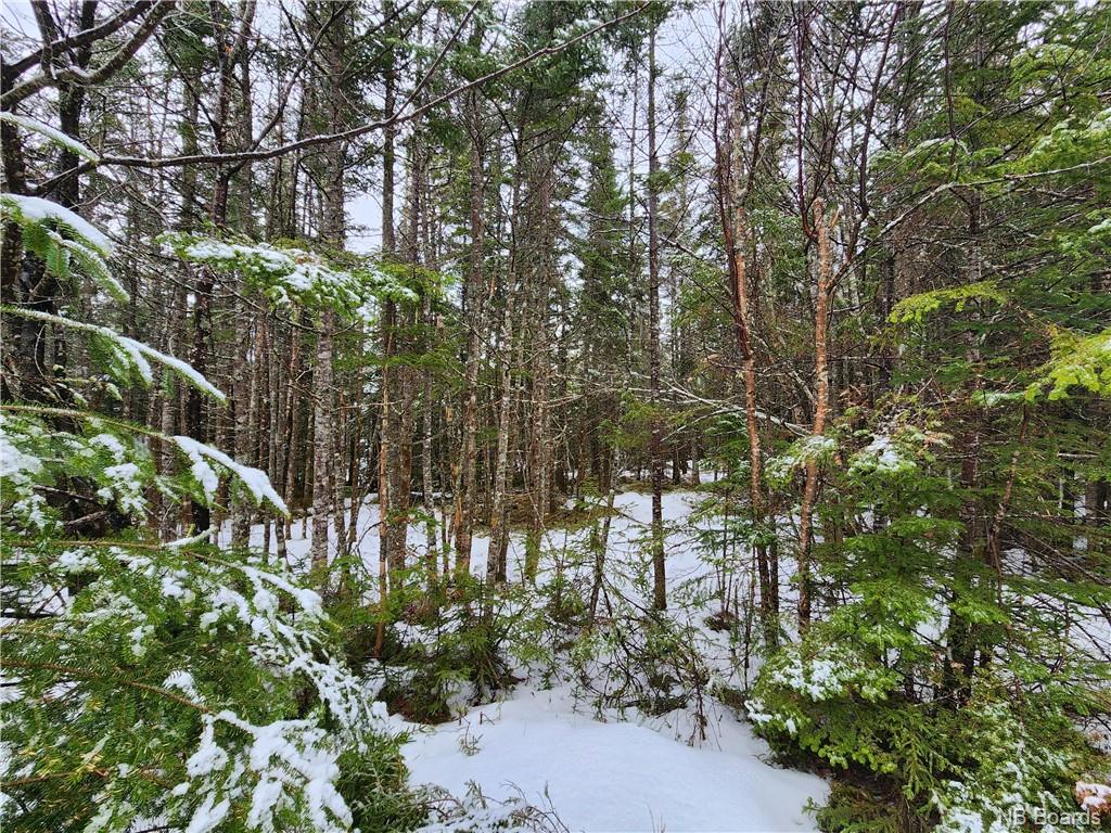 - New Line Road, West Quaco, New Brunswick, Canada