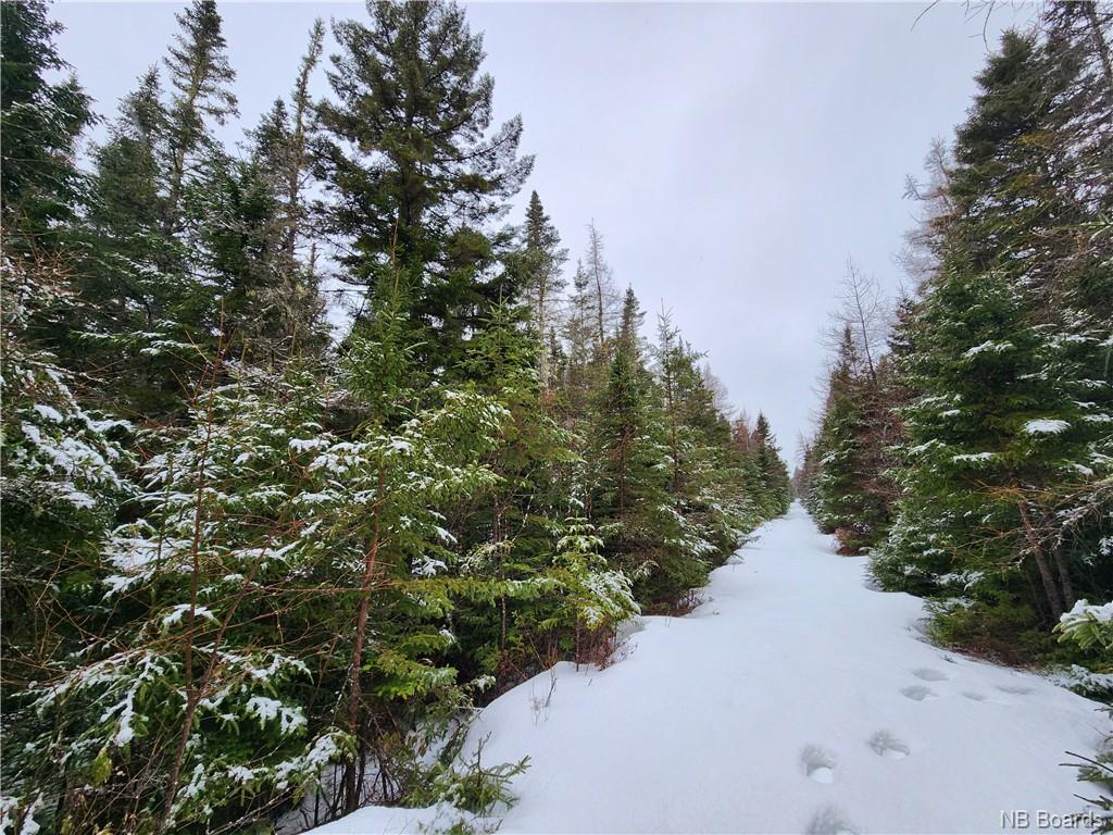 - New Line Road, West Quaco, New Brunswick, Canada