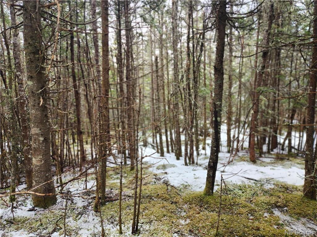 - New Line Road, West Quaco, New Brunswick, Canada