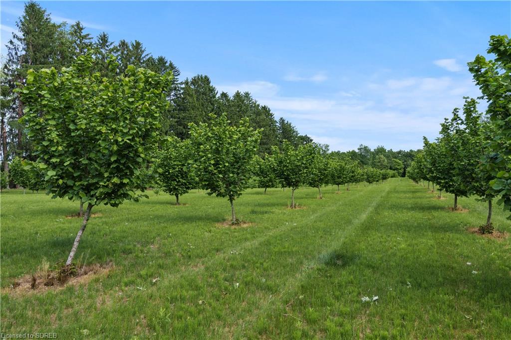 1174 CHARLOTTEVILLE 2 Road, Vittoria, Ontario, Canada