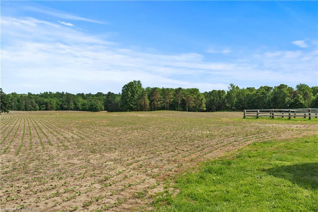 1174 CHARLOTTEVILLE 2 Road, Vittoria, Ontario, Canada