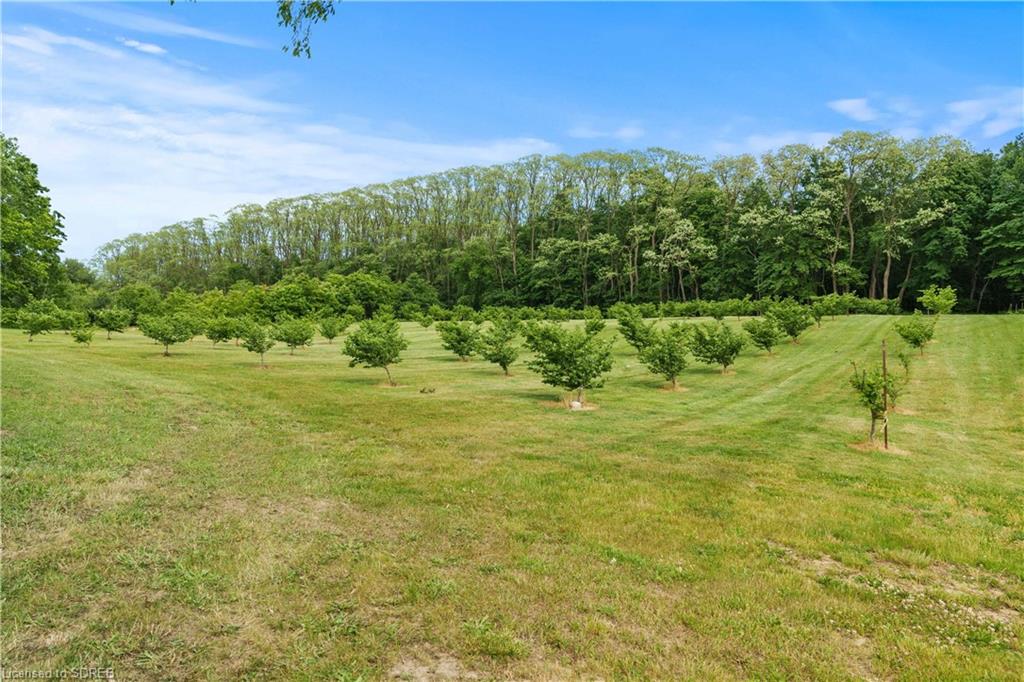 1174 CHARLOTTEVILLE 2 Road, Vittoria, Ontario, Canada