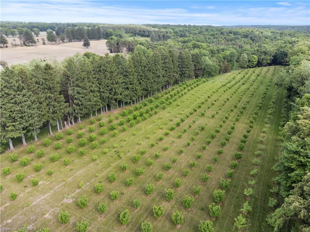 1174 CHARLOTTEVILLE 2 Road, Vittoria, Ontario, Canada