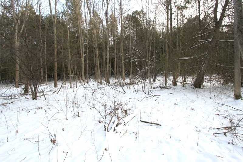 Lt 11 Macintyre Rd, Kawartha Lakes Ontario, Canada