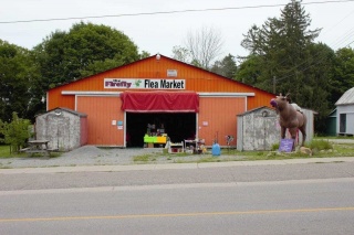 1720 Kirkfield Rd, Kawartha Lakes Ontario, Canada