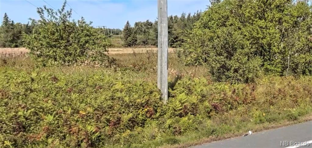 Lot Route 335