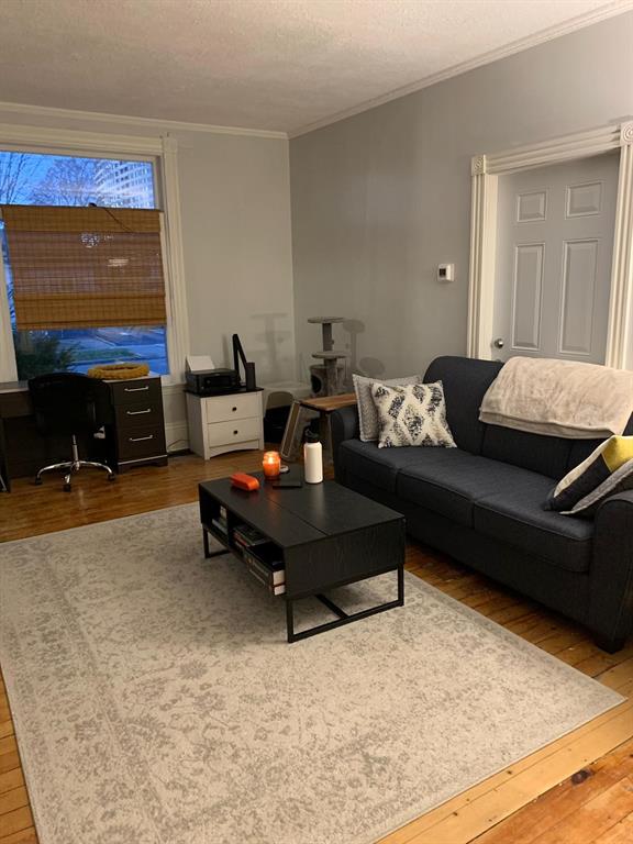 198 EUPHEMIA Street North Unit# FRONT, Sarnia, Ontario, Canada