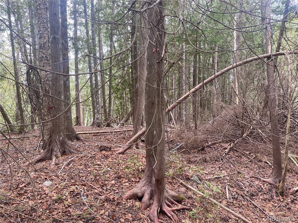 - Elliot, Quispamsis, New Brunswick, Canada