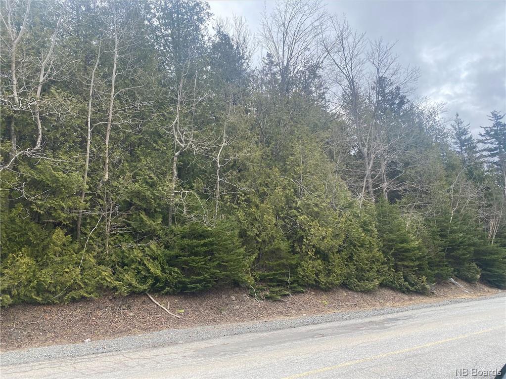 - Elliot, Quispamsis, New Brunswick, Canada