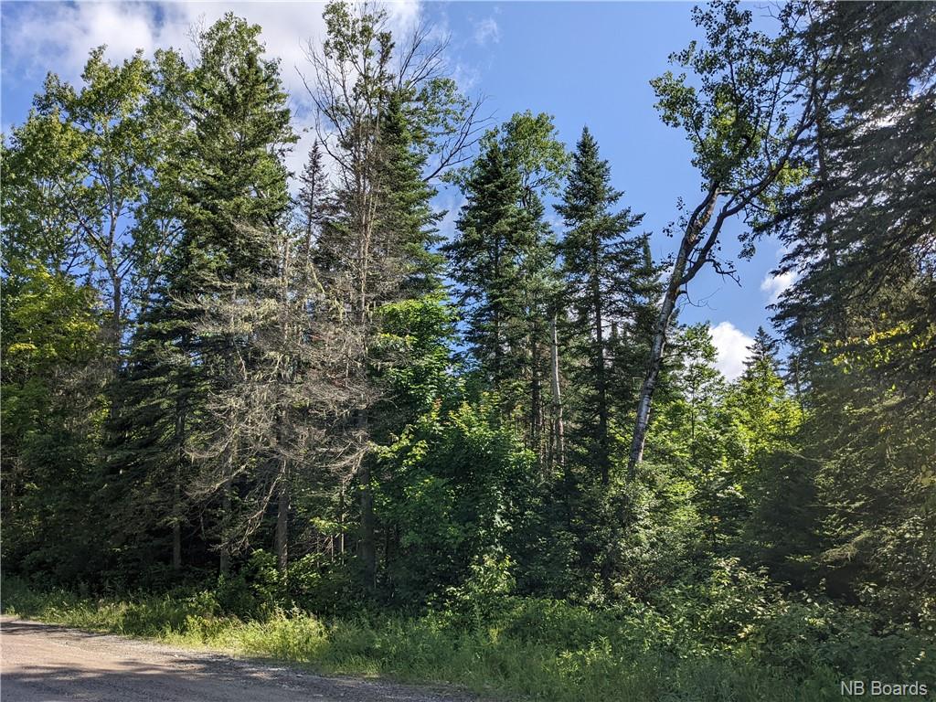 280 Giants Glen Road, Giants Glen, New Brunswick, Canada