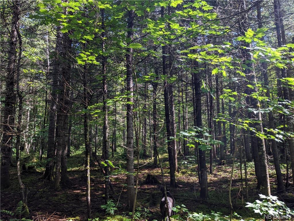 280 Giants Glen Road, Giants Glen, New Brunswick, Canada