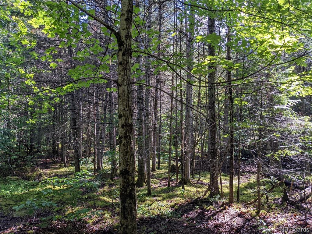 280 Giants Glen Road, Giants Glen, New Brunswick, Canada