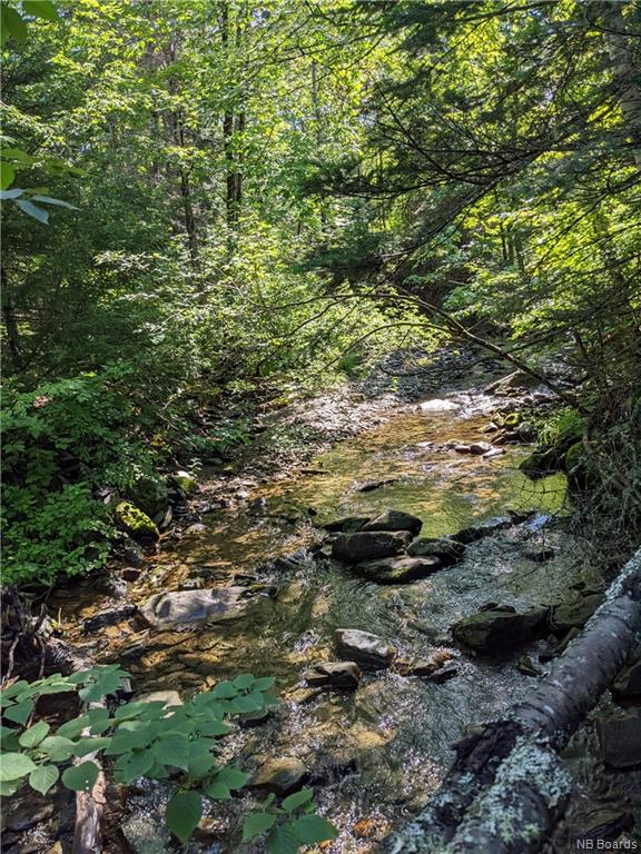 280 Giants Glen Road, Giants Glen, New Brunswick, Canada