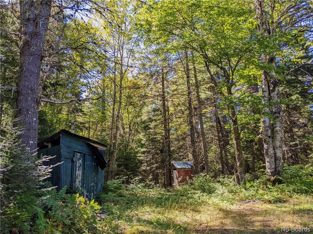 / Colter Road, Lower Durham, New Brunswick, Canada