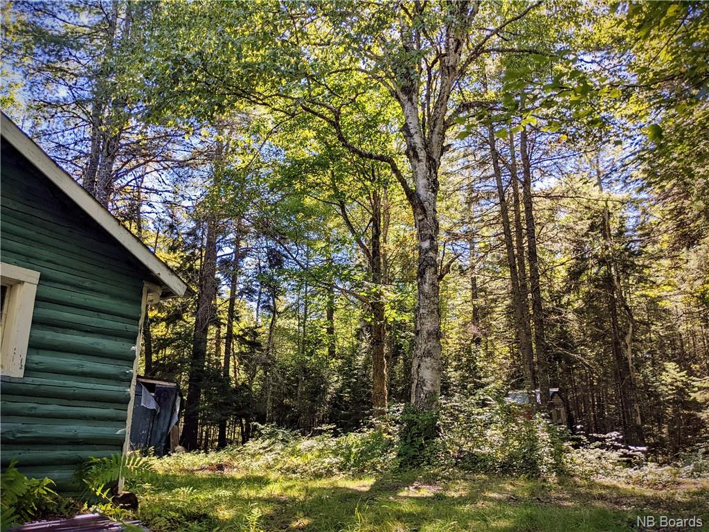 / Colter Road, Lower Durham, New Brunswick, Canada