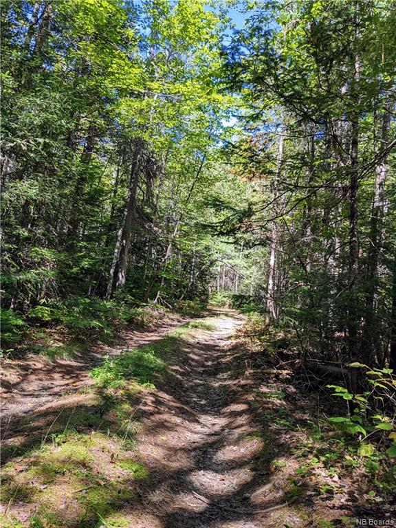 / Colter Road, Lower Durham, New Brunswick, Canada