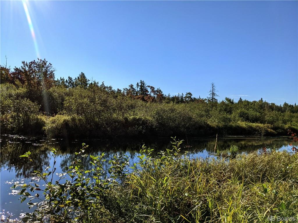 / Route 635, Harvey, New Brunswick, Canada