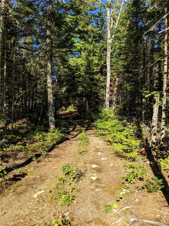 / Route 635, Harvey, New Brunswick, Canada