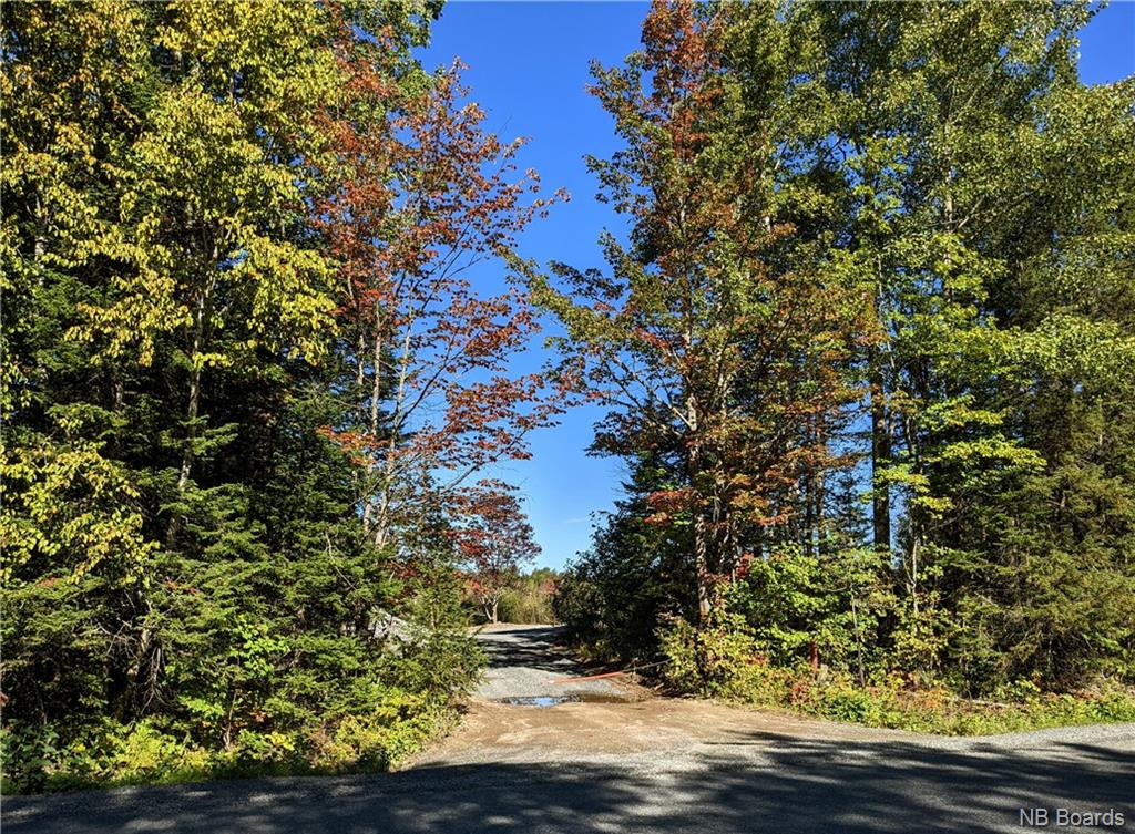 / Route 635, Harvey, New Brunswick, Canada
