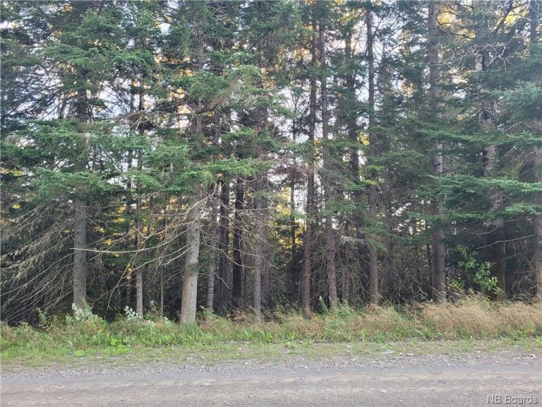Jenkins Rd, Blue Mountain Bend, New Brunswick, Canada