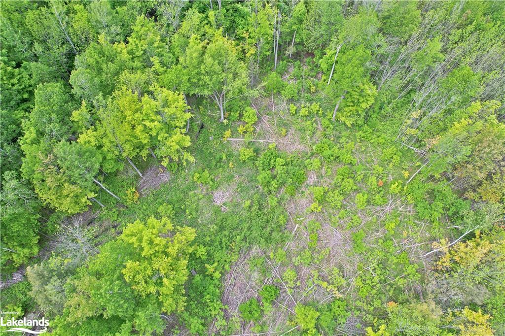 1382 WILSON POINT Road, Orillia, Ontario, Canada