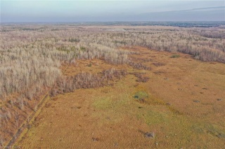 1361 CON RD 2 Concession, Ramara Township Ontario, Canada