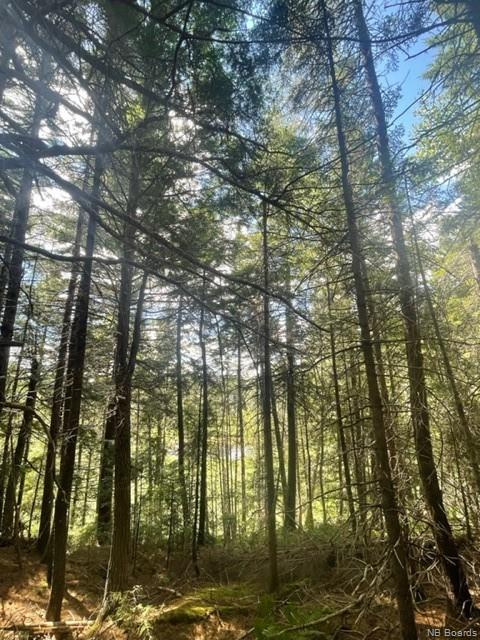 / East Gaspereau Road, Gaspereau Forks, New Brunswick, Canada