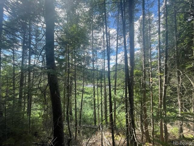 / East Gaspereau Road, Gaspereau Forks, New Brunswick, Canada