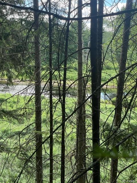 / East Gaspereau Road, Gaspereau Forks, New Brunswick, Canada