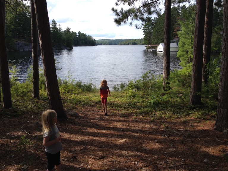 925 Weslemkoon Lake WAO, Addington Highlands, Ontario, Canada photo 10