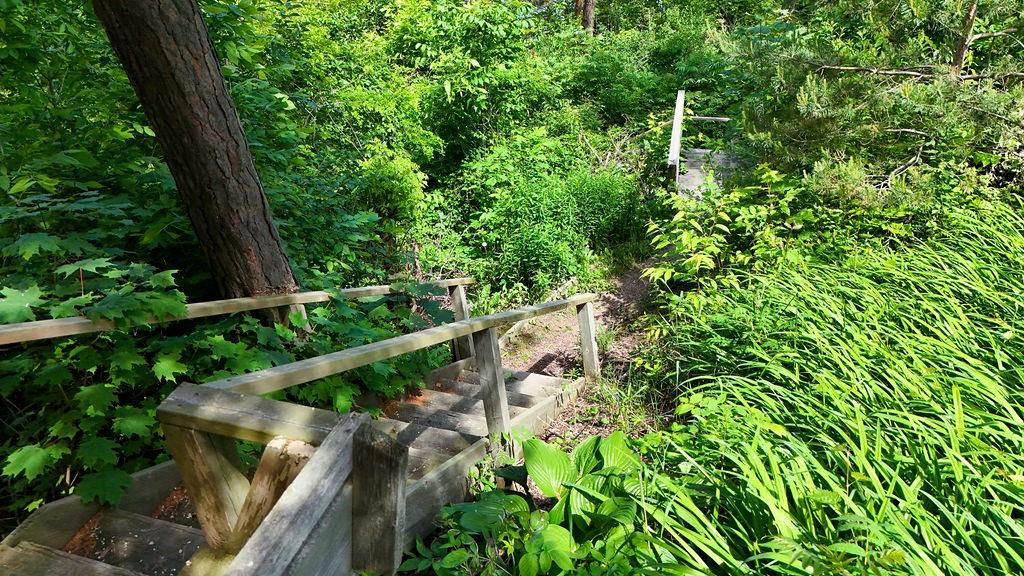 7359 BLUE POINT BAY Path, Plympton-Wyoming, Ontario, Canada photo 6