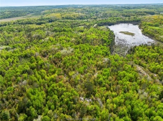 Ronka, Worthington Ontario