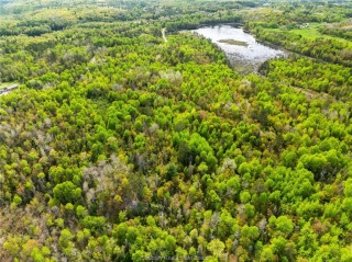 Ronka, Worthington Ontario