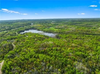 Ronka, Worthington Ontario