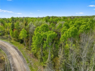 Ronka, Worthington Ontario