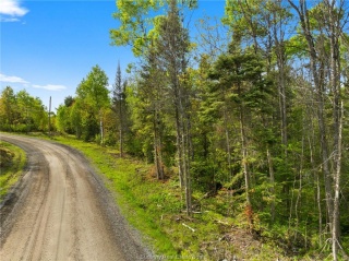 Ronka, Worthington Ontario