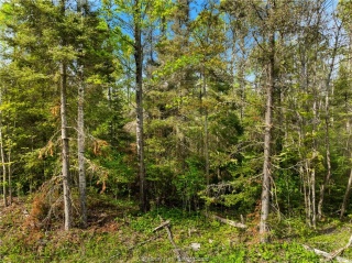 Ronka, Worthington Ontario