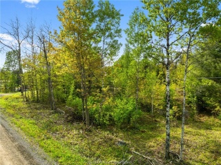 Ronka, Worthington Ontario