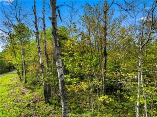 Ronka, Worthington Ontario