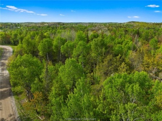 Ronka, Worthington Ontario