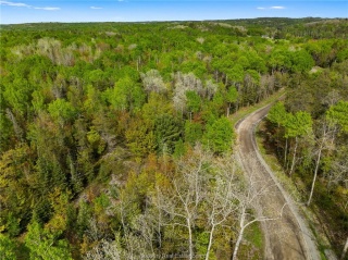 Ronka, Worthington Ontario