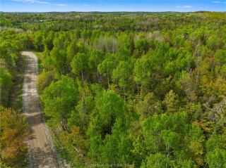 Ronka, Worthington Ontario