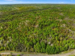 Ronka, Worthington Ontario
