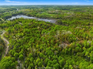 Ronka, Worthington Ontario