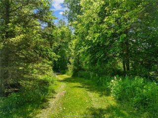 1049a Secord Road, Sudbury Ontario