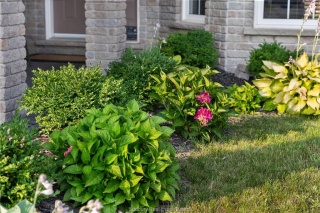 8 Alliston Street, Sudbury Ontario