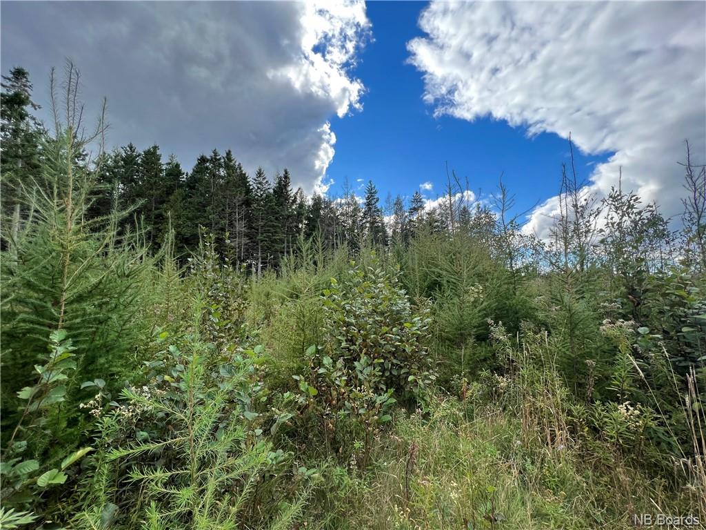 Lot Rhonda Street, Nauwigewauk, New Brunswick, Canada