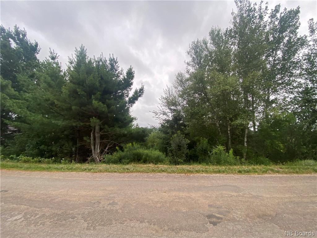 - Tavener Terrace, Picadilly, New Brunswick, Canada